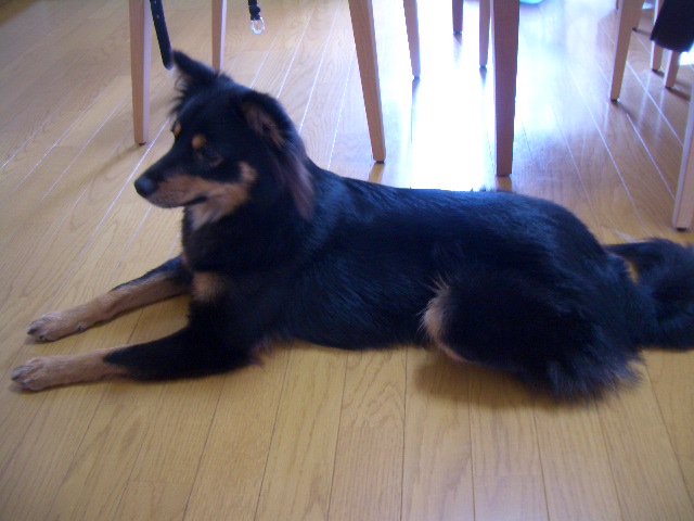 d0004968_2336185.jpg