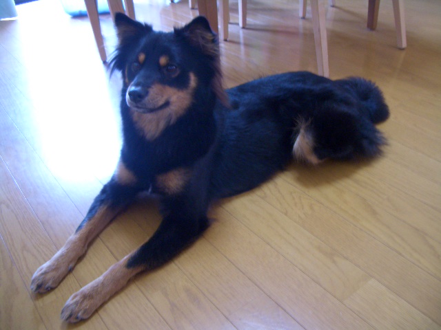 d0004968_23383980.jpg