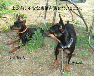 c0012571_2313361.gif