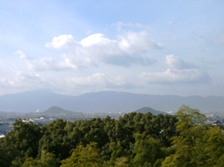 d0042474_21543068.jpg