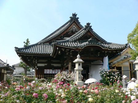 d0042474_22353327.jpg