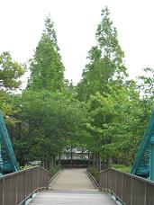 c0029677_23444758.jpg