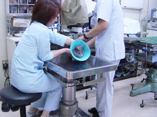 b0034284_1236791.jpg