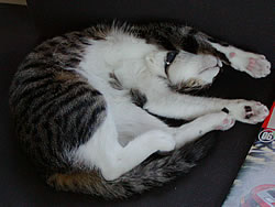 c0035001_1641957.jpg