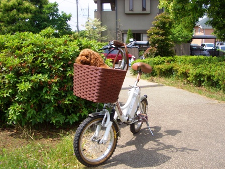 d0001509_115039.jpg