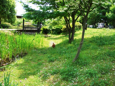 d0001509_1161052.jpg