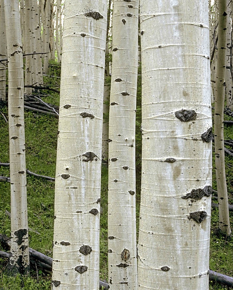 b0022138_13431869.jpg
