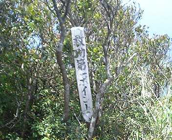 b0058840_0581636.jpg