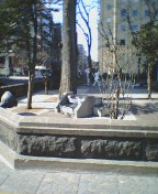d0039141_23171846.jpg