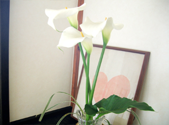 c0055305_6173747.jpg