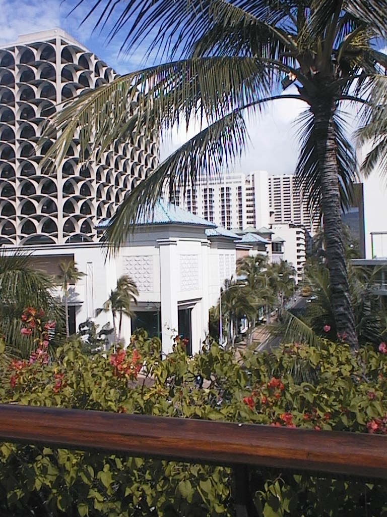 c0052217_22454721.jpg