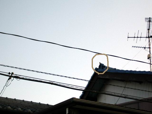 d0038619_23204227.jpg
