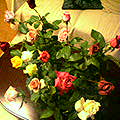 b0040638_135687.jpg