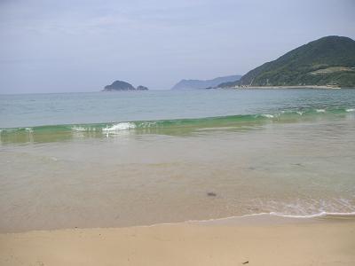 b0001044_11405127.jpg