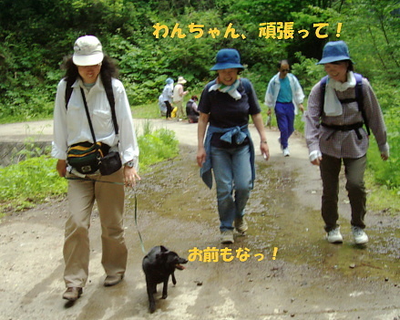 a0009750_10322750.jpg
