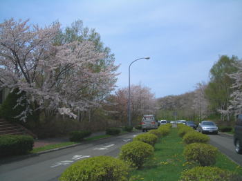 c0074563_16524743.jpg