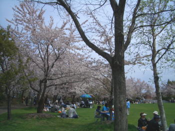 c0074563_16531754.jpg