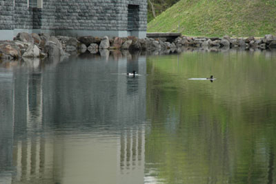 c0050264_13543732.jpg
