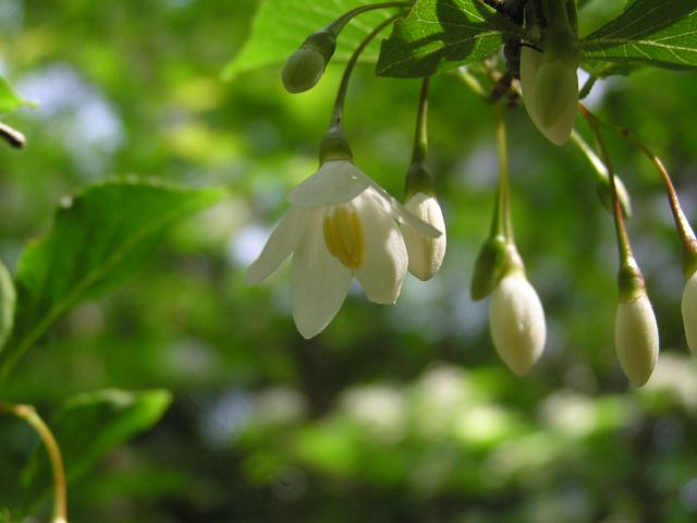 c0042869_2323633.jpg