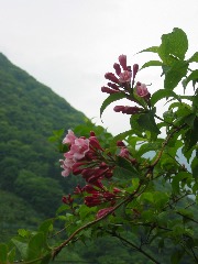 b0039373_122699.jpg