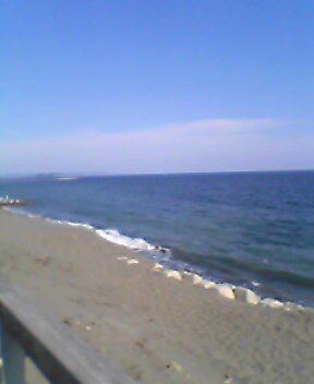 a0036181_18392360.jpg