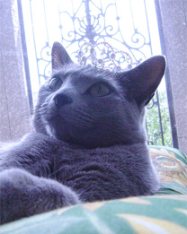 b0034284_9315091.jpg