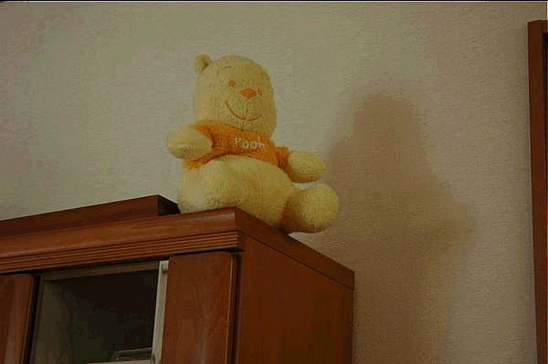 c0075585_2203724.gif