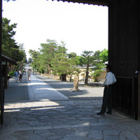 d0033734_1228554.jpg