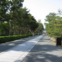 d0033734_123936.jpg