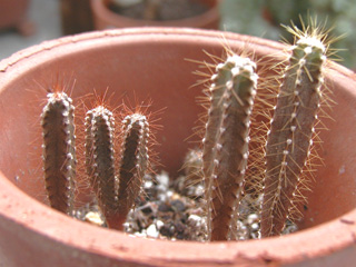 c0048042_23424634.jpg