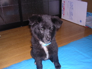 c0065643_2301389.jpg