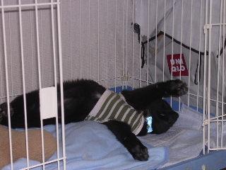 c0065643_23269.jpg