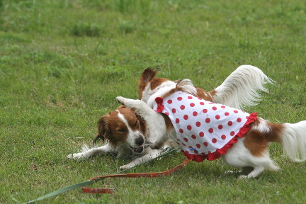 d0013149_040205.jpg