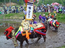 b0070572_23222556.jpg