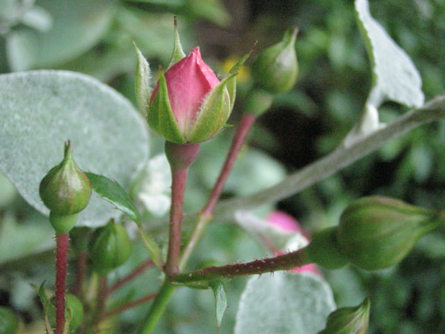 d0049381_0101524.jpg