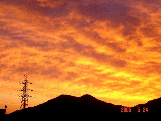 a0005691_1405394.jpg
