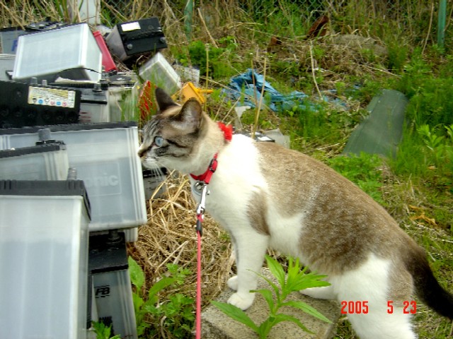 a0005691_14282236.jpg