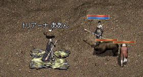 b0052295_22305643.gif