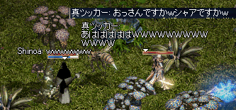 b0052295_22391524.gif