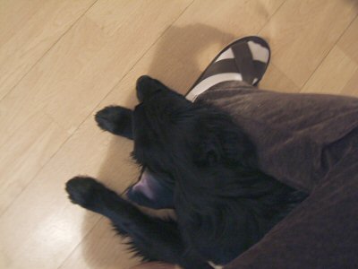 c0050400_14354540.jpg