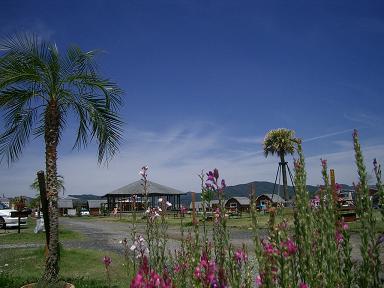 c0005619_19353414.jpg