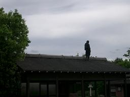 c0005619_2194869.jpg