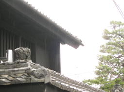 c0069552_2031924.jpg