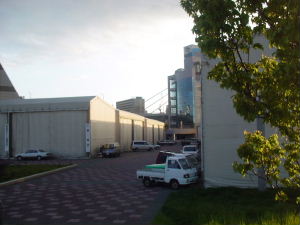 d0027057_22364777.jpg