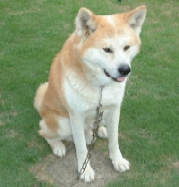 d0057858_19625100.jpg