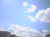 a0000273_1005873.jpg