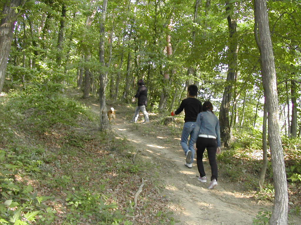 b0032079_0591637.jpg