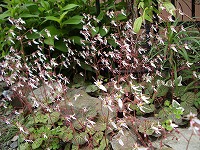 c0045882_9123852.jpg