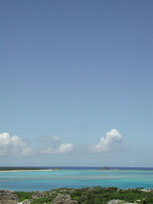 c0068090_13323581.jpg