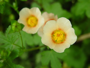 a0011999_22472918.jpg